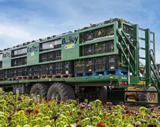Pallet trailer flower loading