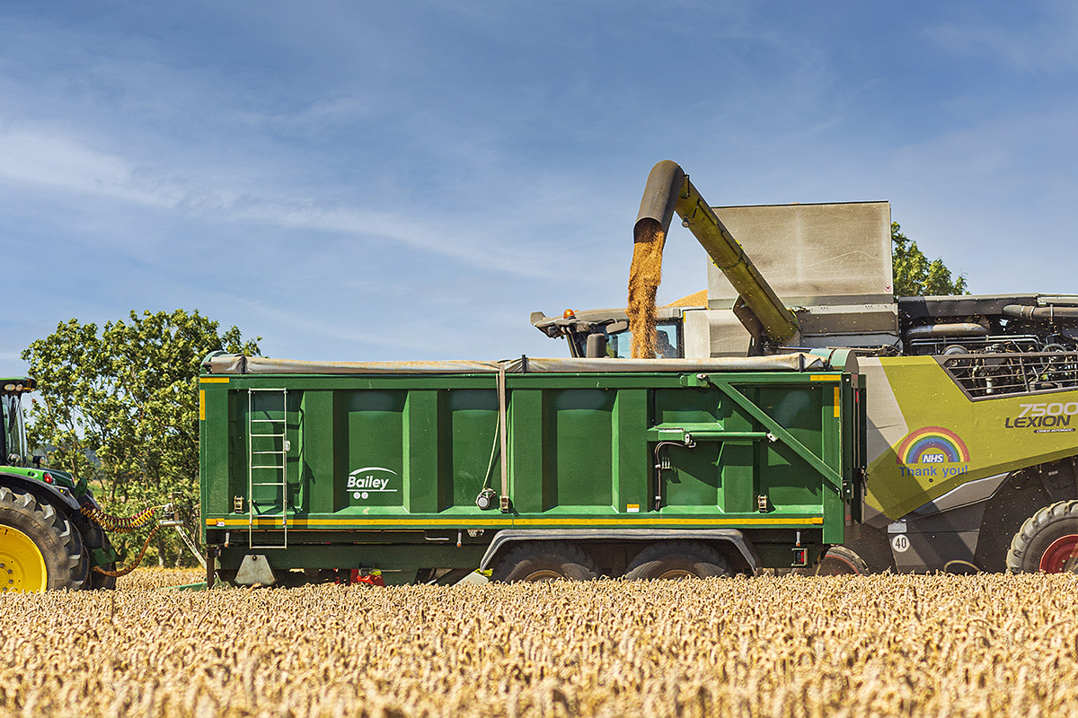 tb trailer in harvest action