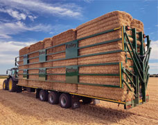 Bale trailer with twin hydraulic clamps