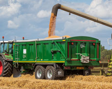 TB trailer grain harvest