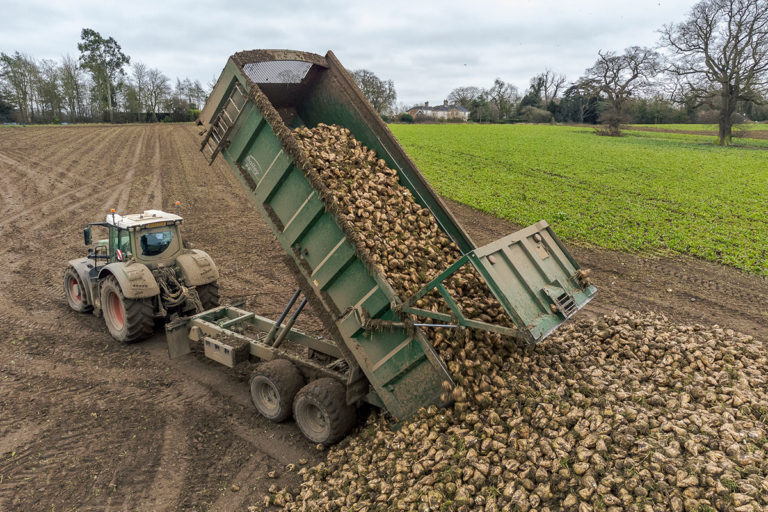 Bailey Beeteaper trailer at full tip