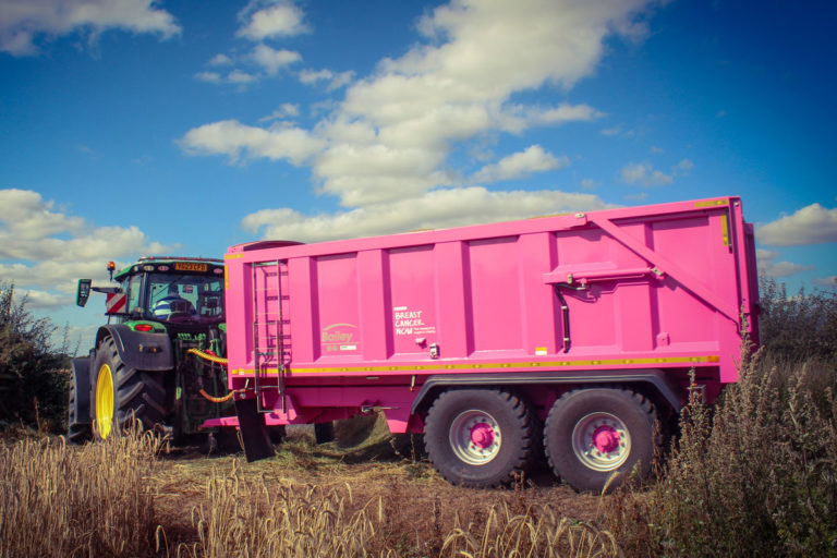 Pink TB16 in the field