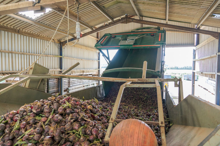 TB unloading crop into storage
