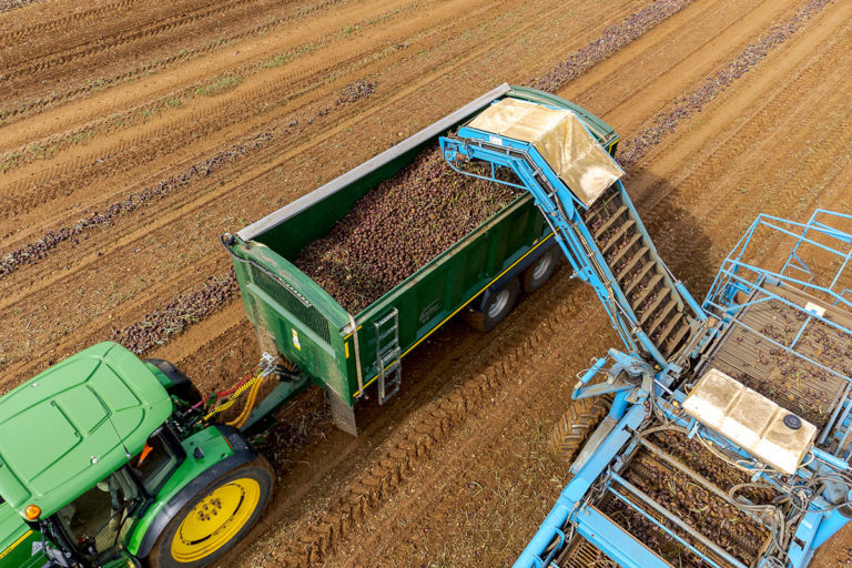 Crop loading into TB trailer