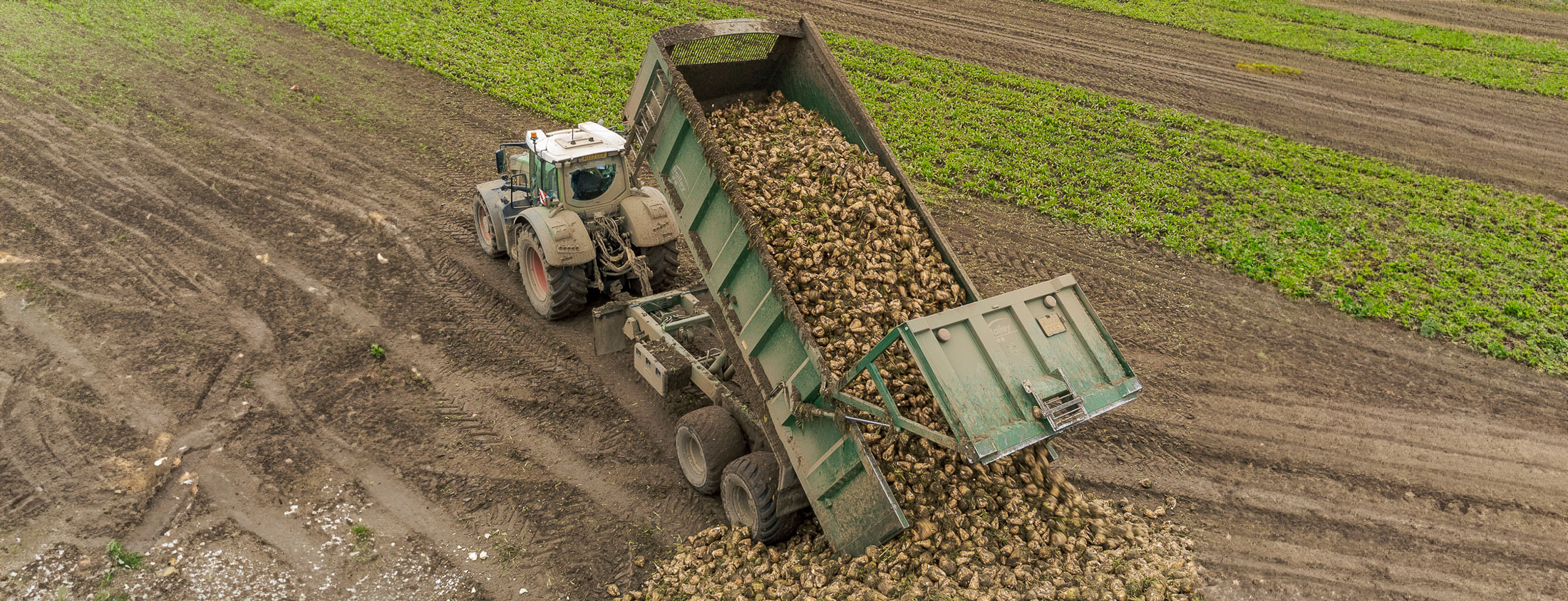 Beeteaper trailer in field
