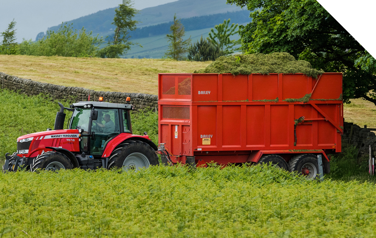 bailey-genuine-parts-home